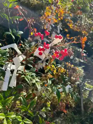 山科聖天 雙林院（双林院）　(京都府)