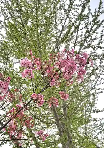 阿邪訶根神社(福島県)