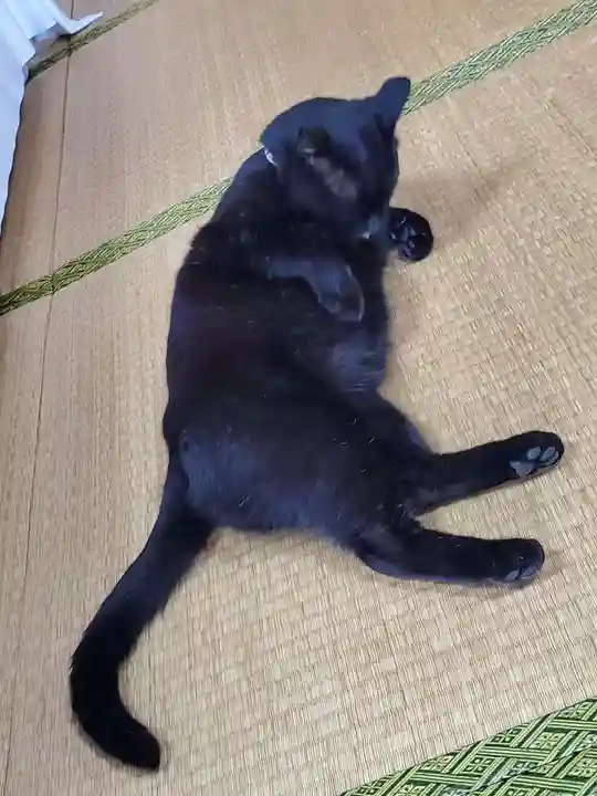 高司神社〜むすびの神の鎮まる社〜(福島県)