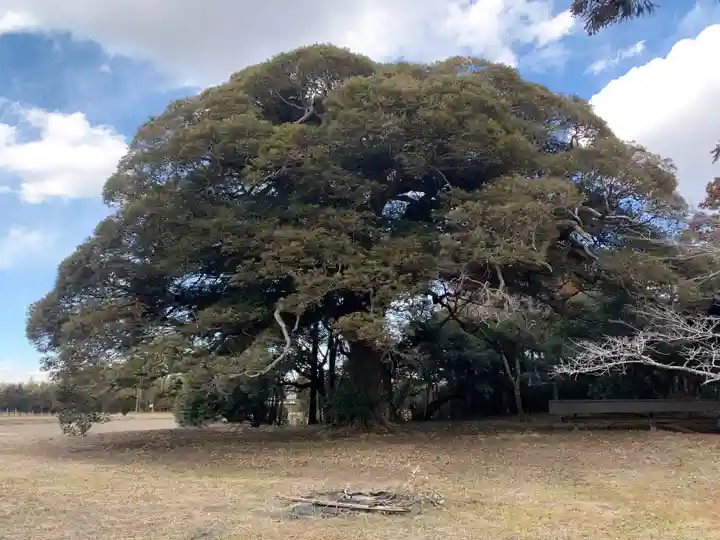 熊野神社(千葉県)