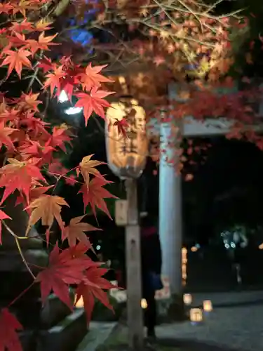 等彌神社(奈良県)