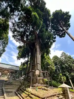 身延山奥之院思親閣(山梨県)