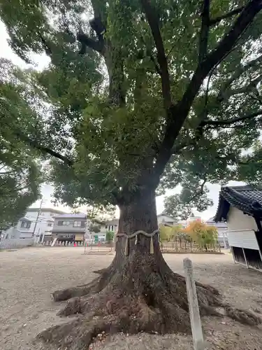 華表神社(大阪府)