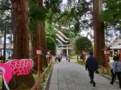 遠野郷八幡宮の建物その他