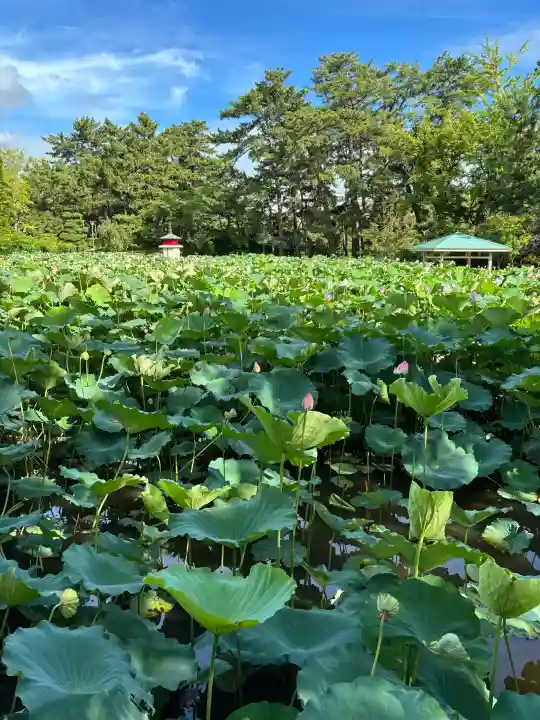 白山神社(新潟県)