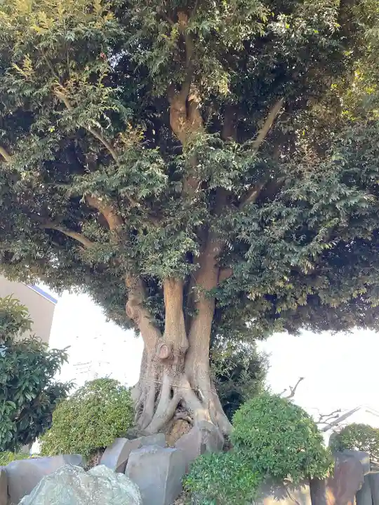 赤城神社(千葉県)