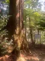 鞆淵八幡神社(和歌山県)