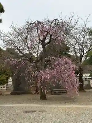護国寺の{uncategorized: "未分類", other: "その他", undefined: "問題あり", building: "その他建物", grave: "お墓", sacred_gate: "鳥居", guardian: "狛犬", statue: "像", buddha: "仏像", history: "歴史", nature: "自然", garden: "庭園", animal: "動物", pagoda: "塔", temizu: "手水舎", mountain_gate: "山門・神門", sanctuary: "本殿・本堂", subordinate: "末社・摂社", art: "芸術", scenery: "景色", jizo: "地蔵", ema: "絵馬", goshuin: "御朱印", omikuji: "おみくじ", items: "授与品その他", amulet: "お守り", goshuincho: "御朱印帳", eats: "食事", festival: "お祭り", votive_dance: "神楽", shichigosan: "七五三参", wedding: "結婚式", experience: "体験その他", initially: "初詣", around: "周辺", anti_infection: "感染症対策"}
