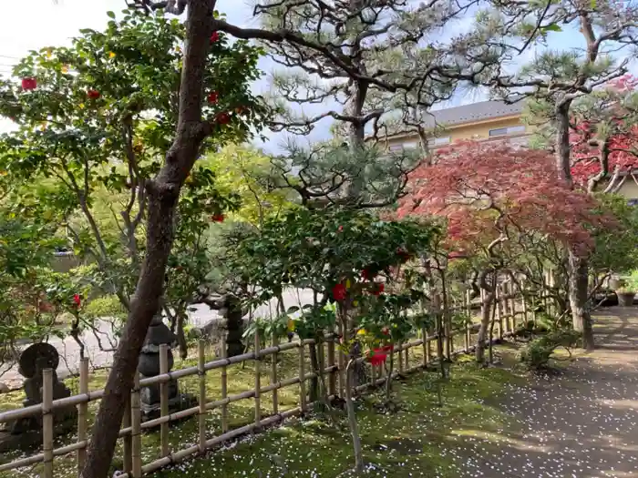 教恩寺の建物その他