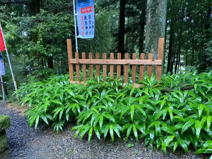 愛宕神社の自然