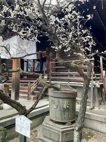 千束稲荷神社の{uncategorized: "未分類", other: "その他", undefined: "問題あり", building: "その他建物", grave: "お墓", sacred_gate: "鳥居", guardian: "狛犬", statue: "像", buddha: "仏像", history: "歴史", nature: "自然", garden: "庭園", animal: "動物", pagoda: "塔", temizu: "手水舎", mountain_gate: "山門・神門", sanctuary: "本殿・本堂", subordinate: "末社・摂社", art: "芸術", scenery: "景色", jizo: "地蔵", ema: "絵馬", goshuin: "御朱印", omikuji: "おみくじ", items: "授与品その他", amulet: "お守り", goshuincho: "御朱印帳", eats: "食事", festival: "お祭り", votive_dance: "神楽", shichigosan: "七五三参", wedding: "結婚式", experience: "体験その他", initially: "初詣", around: "周辺", anti_infection: "感染症対策"}