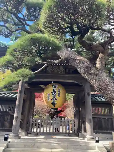 長谷寺の山門・神門