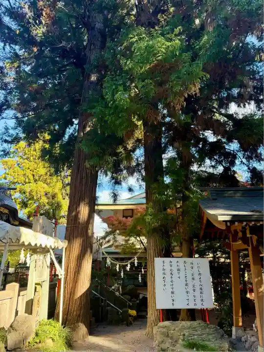 渋川八幡宮(群馬県)