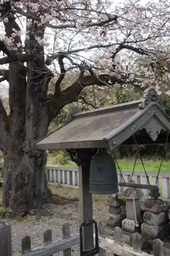 願成寺のその他建物
