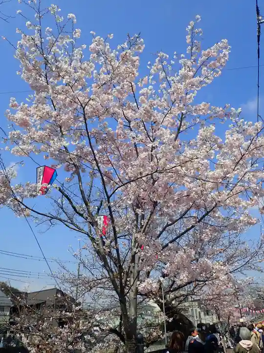 弘明寺の御朱印