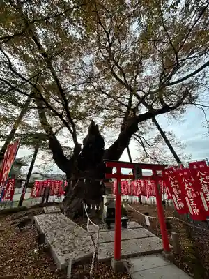 秩父今宮神社(埼玉県)