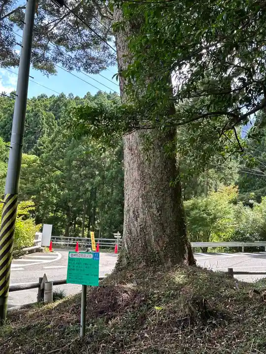 雷神社(福岡県)