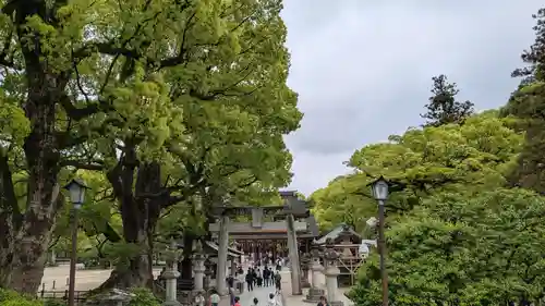 太宰府天満宮の景色