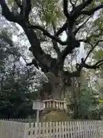 熱田神宮の{uncategorized: "未分類", other: "その他", undefined: "問題あり", building: "その他建物", grave: "お墓", sacred_gate: "鳥居", guardian: "狛犬", statue: "像", buddha: "仏像", history: "歴史", nature: "自然", garden: "庭園", animal: "動物", pagoda: "塔", temizu: "手水舎", mountain_gate: "山門・神門", sanctuary: "本殿・本堂", subordinate: "末社・摂社", art: "芸術", scenery: "景色", jizo: "地蔵", ema: "絵馬", goshuin: "御朱印", omikuji: "おみくじ", items: "授与品その他", amulet: "お守り", goshuincho: "御朱印帳", eats: "食事", festival: "お祭り", votive_dance: "神楽", shichigosan: "七五三参", wedding: "結婚式", experience: "体験その他", initially: "初詣", around: "周辺", anti_infection: "感染症対策"}