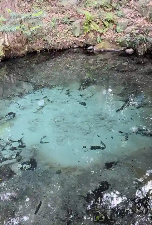 泉神社(茨城県)
