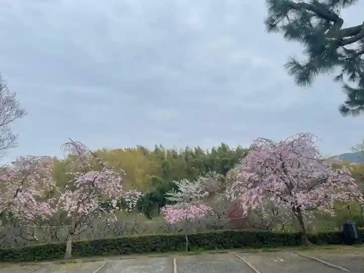 正法寺の{uncategorized: "未分類", other: "その他", undefined: "問題あり", building: "その他建物", grave: "お墓", sacred_gate: "鳥居", guardian: "狛犬", statue: "像", buddha: "仏像", history: "歴史", nature: "自然", garden: "庭園", animal: "動物", pagoda: "塔", temizu: "手水舎", mountain_gate: "山門・神門", sanctuary: "本殿・本堂", subordinate: "末社・摂社", art: "芸術", scenery: "景色", jizo: "地蔵", ema: "絵馬", goshuin: "御朱印", omikuji: "おみくじ", items: "授与品その他", amulet: "お守り", goshuincho: "御朱印帳", eats: "食事", festival: "お祭り", votive_dance: "神楽", shichigosan: "七五三参", wedding: "結婚式", experience: "体験その他", initially: "初詣", around: "周辺", anti_infection: "感染症対策"}