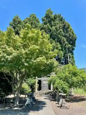 中田神社(宮城県)