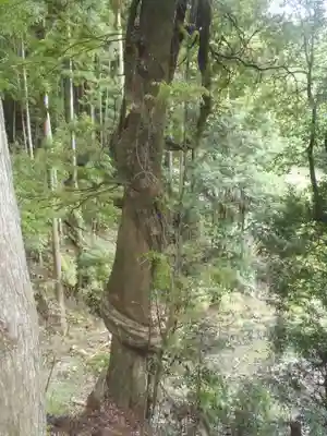 神明神社(愛知県)