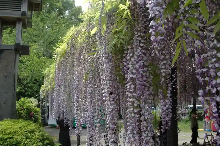 玉敷神社(埼玉県)