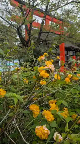 賀茂御祖神社（下鴨神社）の自然
