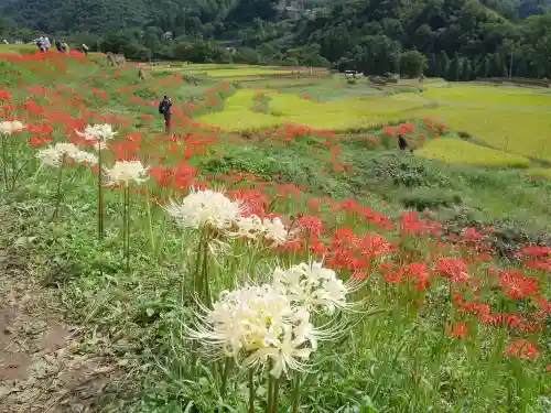 明智寺の自然