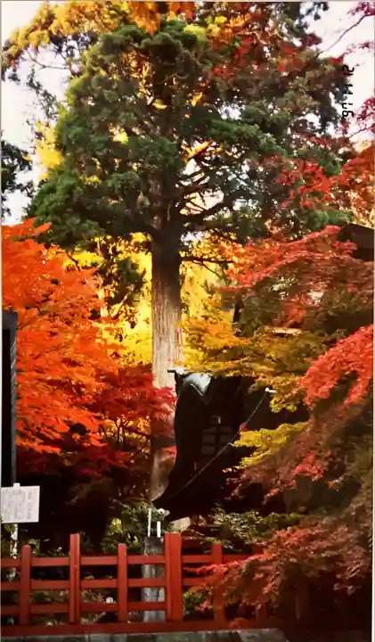 談山神社の自然