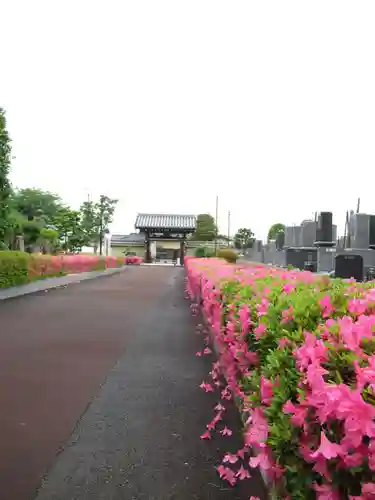 真光寺(千葉県)