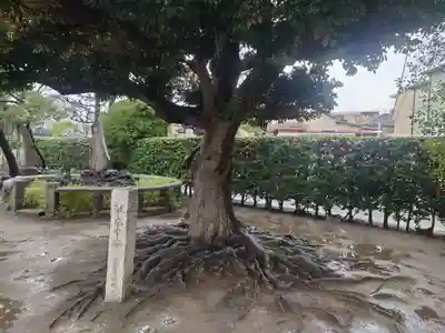 薭田神社(東京都)