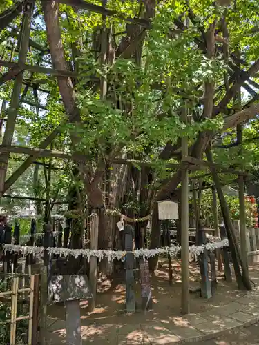 稲毛神社(神奈川県)