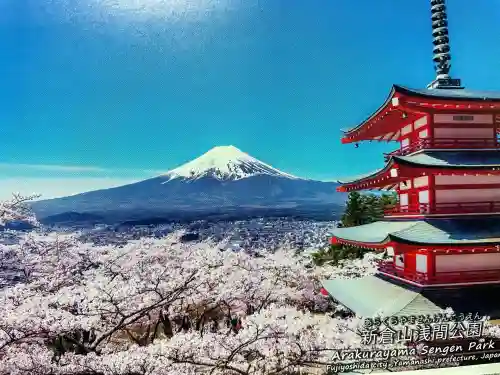 新倉富士浅間神社(山梨県)