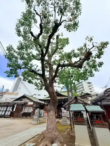 柳原稲荷神社の{uncategorized: "未分類", other: "その他", undefined: "問題あり", building: "その他建物", grave: "お墓", sacred_gate: "鳥居", guardian: "狛犬", statue: "像", buddha: "仏像", history: "歴史", nature: "自然", garden: "庭園", animal: "動物", pagoda: "塔", temizu: "手水舎", mountain_gate: "山門・神門", sanctuary: "本殿・本堂", subordinate: "末社・摂社", art: "芸術", scenery: "景色", jizo: "地蔵", ema: "絵馬", goshuin: "御朱印", omikuji: "おみくじ", items: "授与品その他", amulet: "お守り", goshuincho: "御朱印帳", eats: "食事", festival: "お祭り", votive_dance: "神楽", shichigosan: "七五三参", wedding: "結婚式", experience: "体験その他", initially: "初詣", around: "周辺", anti_infection: "感染症対策"}