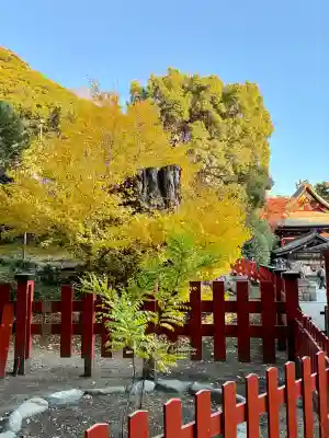 鶴岡八幡宮(神奈川県)