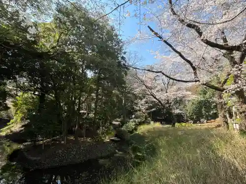 喜多院の{uncategorized: "未分類", other: "その他", undefined: "問題あり", building: "その他建物", grave: "お墓", sacred_gate: "鳥居", guardian: "狛犬", statue: "像", buddha: "仏像", history: "歴史", nature: "自然", garden: "庭園", animal: "動物", pagoda: "塔", temizu: "手水舎", mountain_gate: "山門・神門", sanctuary: "本殿・本堂", subordinate: "末社・摂社", art: "芸術", scenery: "景色", jizo: "地蔵", ema: "絵馬", goshuin: "御朱印", omikuji: "おみくじ", items: "授与品その他", amulet: "お守り", goshuincho: "御朱印帳", eats: "食事", festival: "お祭り", votive_dance: "神楽", shichigosan: "七五三参", wedding: "結婚式", experience: "体験その他", initially: "初詣", around: "周辺", anti_infection: "感染症対策"}