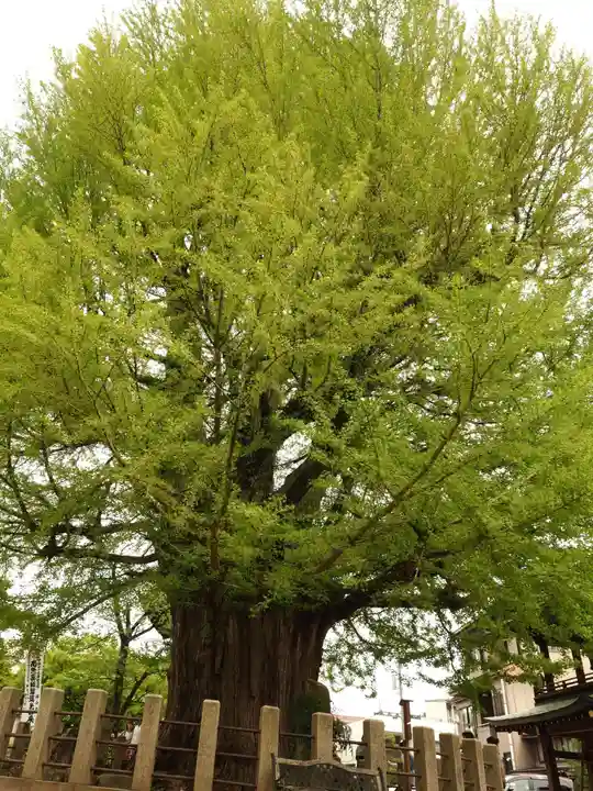 飛騨国分寺のその他建物
