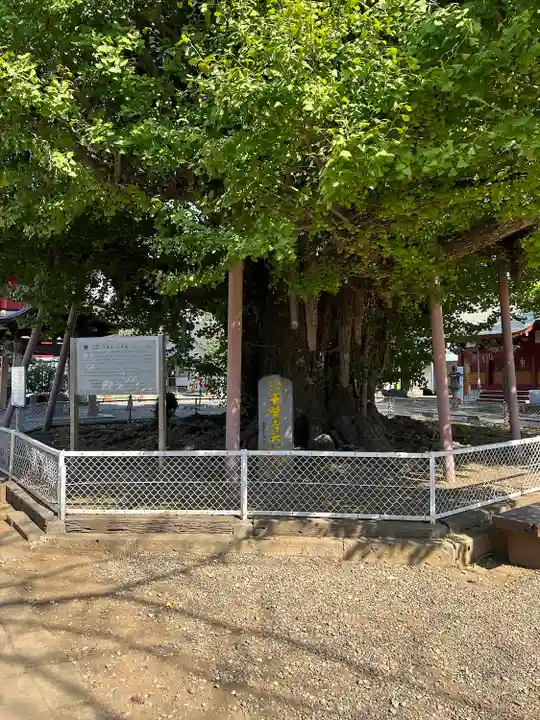 千葉寺(千葉県)