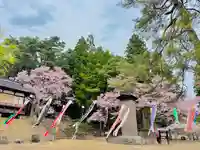 鯉のぼり