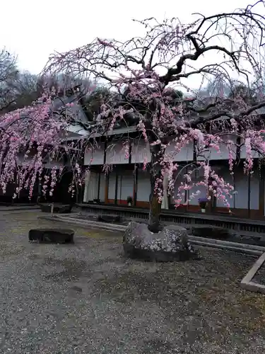 芳盛寺(神奈川県)