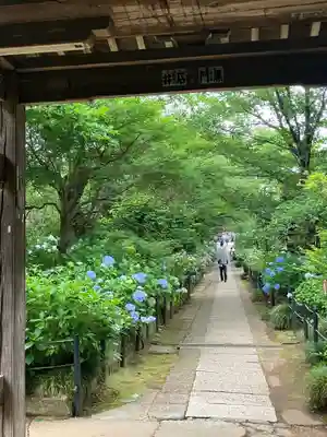 本土寺(千葉県)