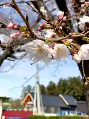 船玉神社(茨城県)