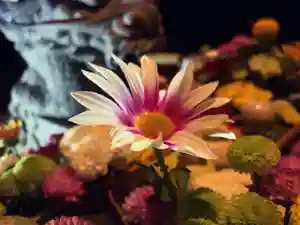 滑川神社 - 仕事と子どもの守り神の手水舎(2021年10月28日(木) 21時33分00秒投稿)