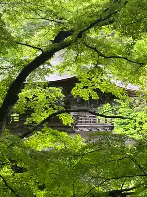 金剛院(京都府)