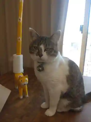 西泉寺(福島県)