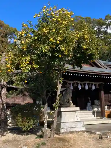 姫路神社の本殿・本堂