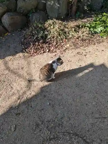 御袖天満宮(広島県)