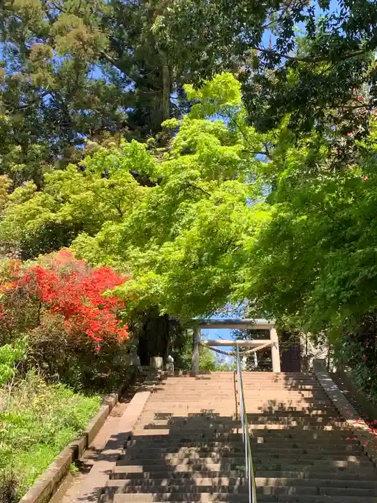 大胡神社(群馬県)